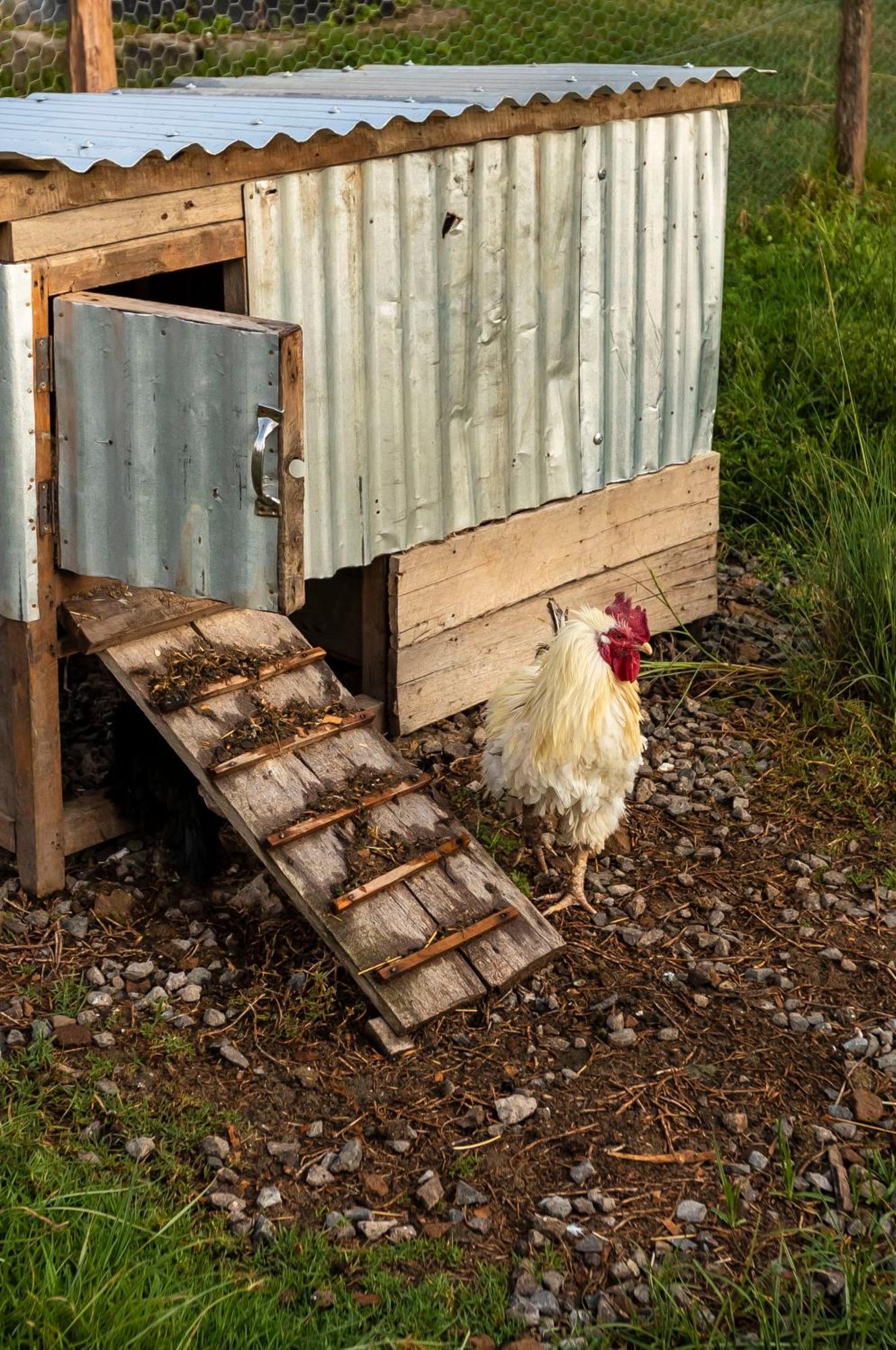 Mount Kenya Farm Stay Нанюки Екстериор снимка