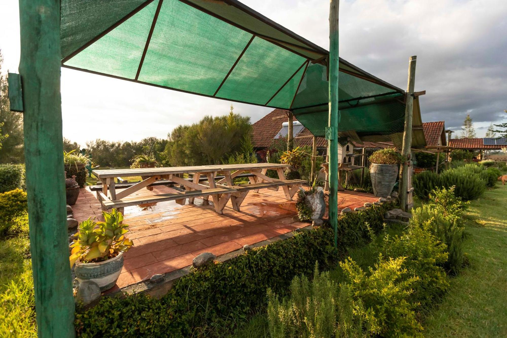Mount Kenya Farm Stay Нанюки Екстериор снимка